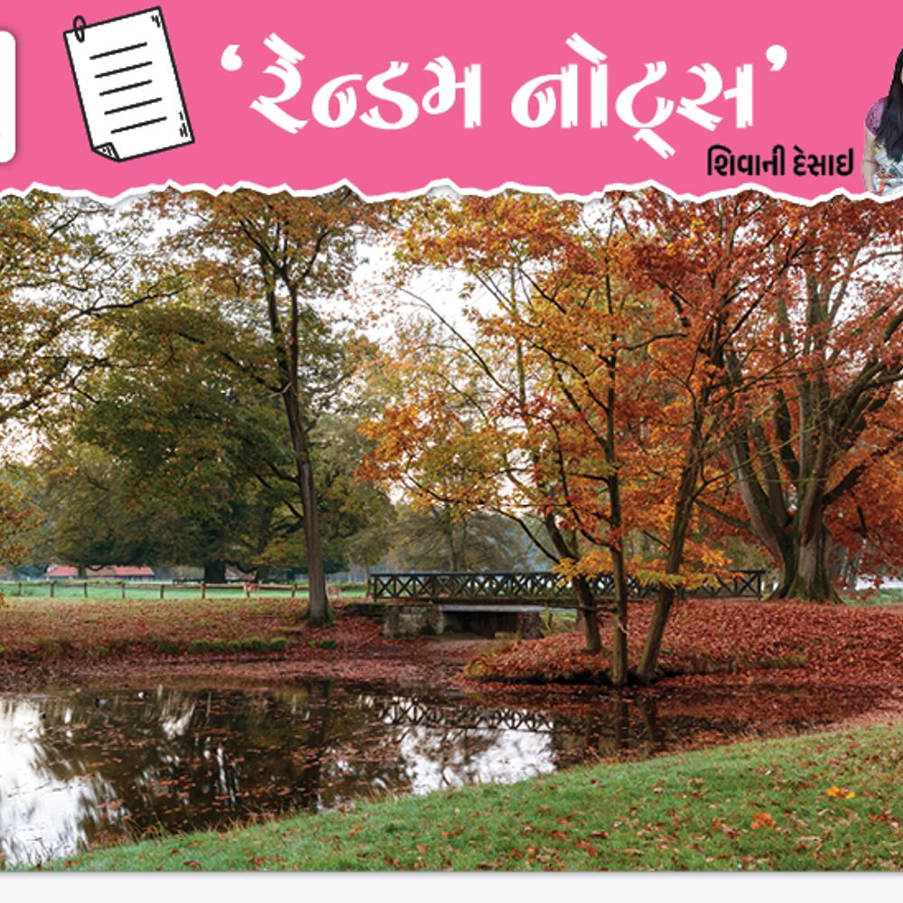 પાનખર: ખરી રહેલા પર્ણનો સંદેશ આપતી ઋતુ:સૌંદર્ય હંમેશા કાયમી હોવું જરૂરી નથી, ક્યારેક ક્ષણિકતા જ તેને વધુ અદભૂત બનાવે છે