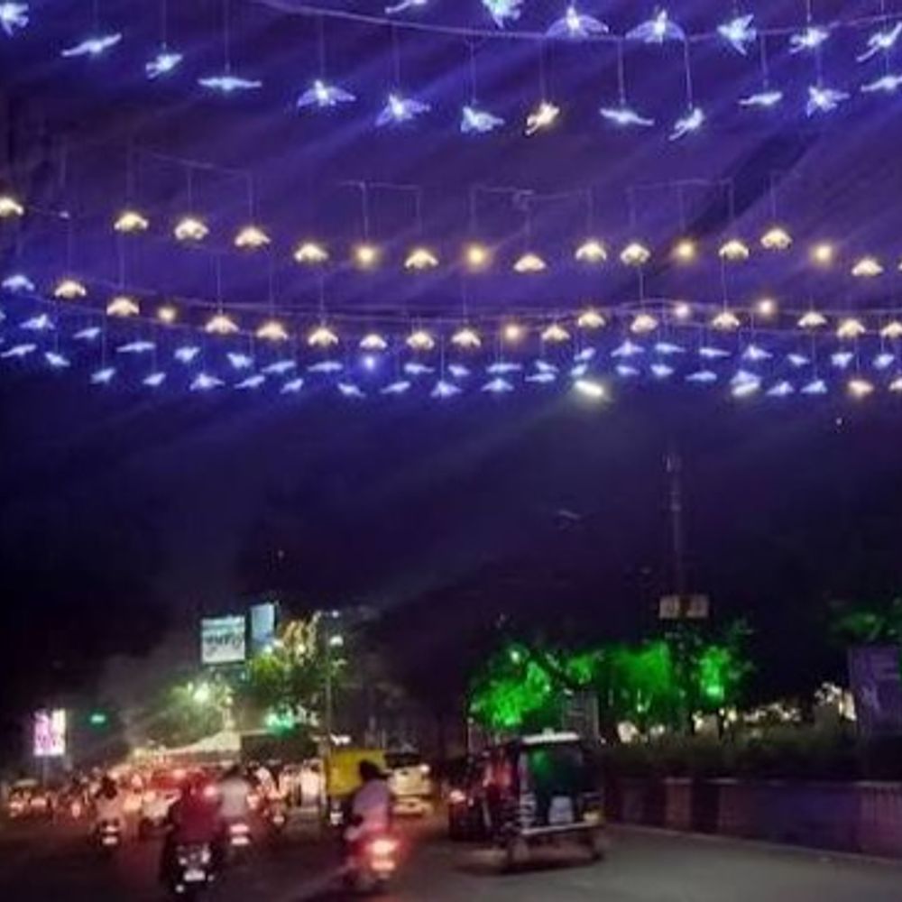દિવાળીનાં તહેવારોમાં રાજકોટ ઝગમગી ઉઠશે:મનપા દ્વારા રેસકોર્સ રિંગરોડ પર 4 દિવસ રોશનીભર્યો કાર્નિવલ યોજાશે, ધનતેરસે આતશબાજીનો અદ્દભૂત નઝારો જોવા મળશે