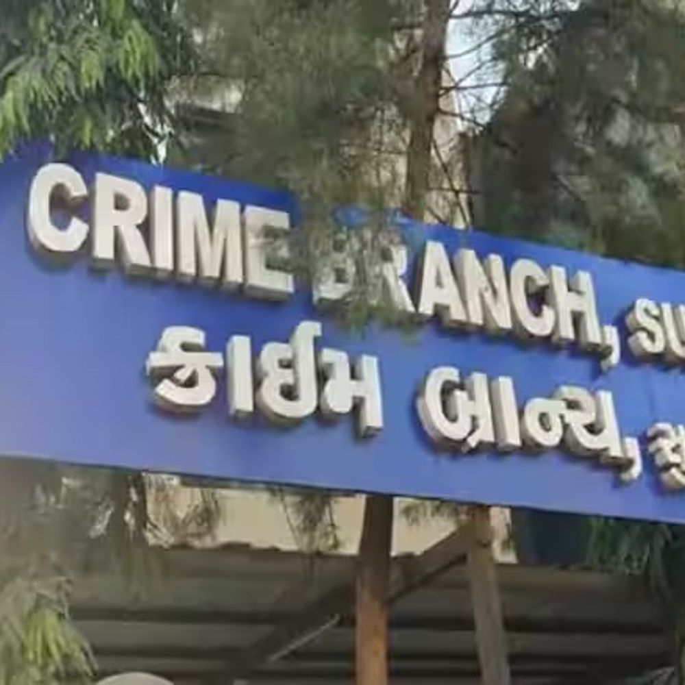 સસ્તા પ્લોટની લાલચ આપી શાહ બંધુની 1.04 કરોડની છેતરપિંડી:દિલીપ શાહની ધરપકડ, કામરેજના નેત્રંગમાં પ્લોટ અપાવવાના નામે 17 લોકોને શિકાર બનાવ્યા