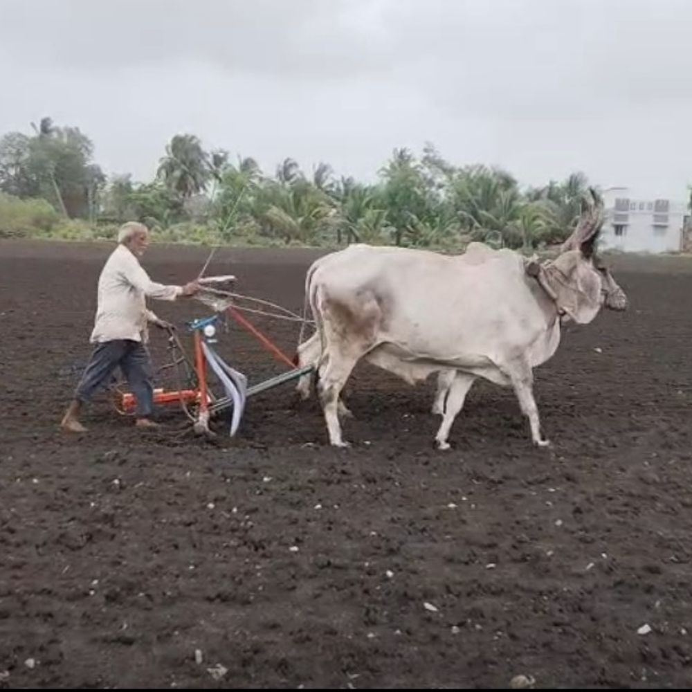 ગીર સોમનાથમાં ડેમોમાં પાણી ઘટ્યું, ખેડૂતોની મુશ્કેલીમાં વધારો:હિરણ-1, હિરણ-2 અને સિંગોડા ડેમમાં ઓછો જળજથ્થો; સૌની યોજનાથી પાણી મેળવવા પ્રયાસો