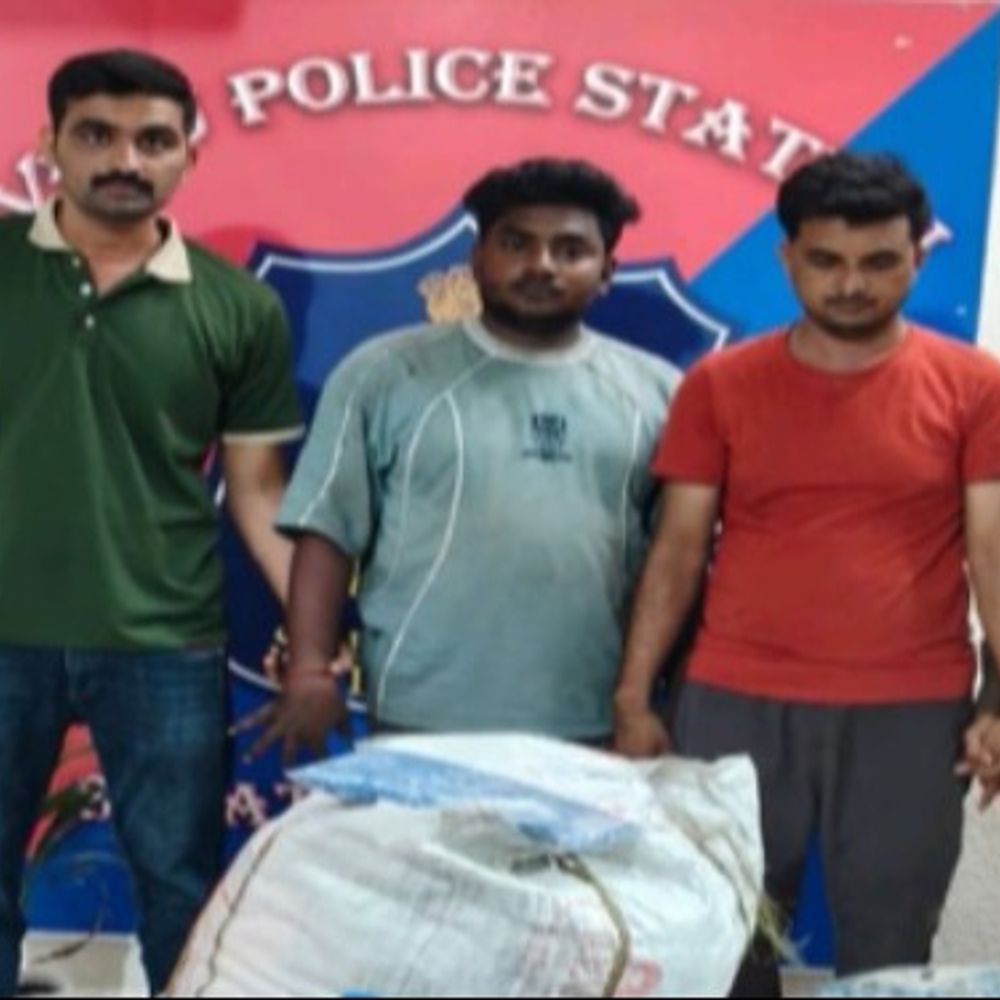 એમેઝોન કંપનીના પાર્સલ ચોરી કૌભાંડનો પર્દાફાશ:પાર્સલમાંથી અસલ માલ બદલીને વેસ્ટેજ કપડાં પધરાવી દેતી ઠગ ટોળકી પોલીસના સકંજામાં