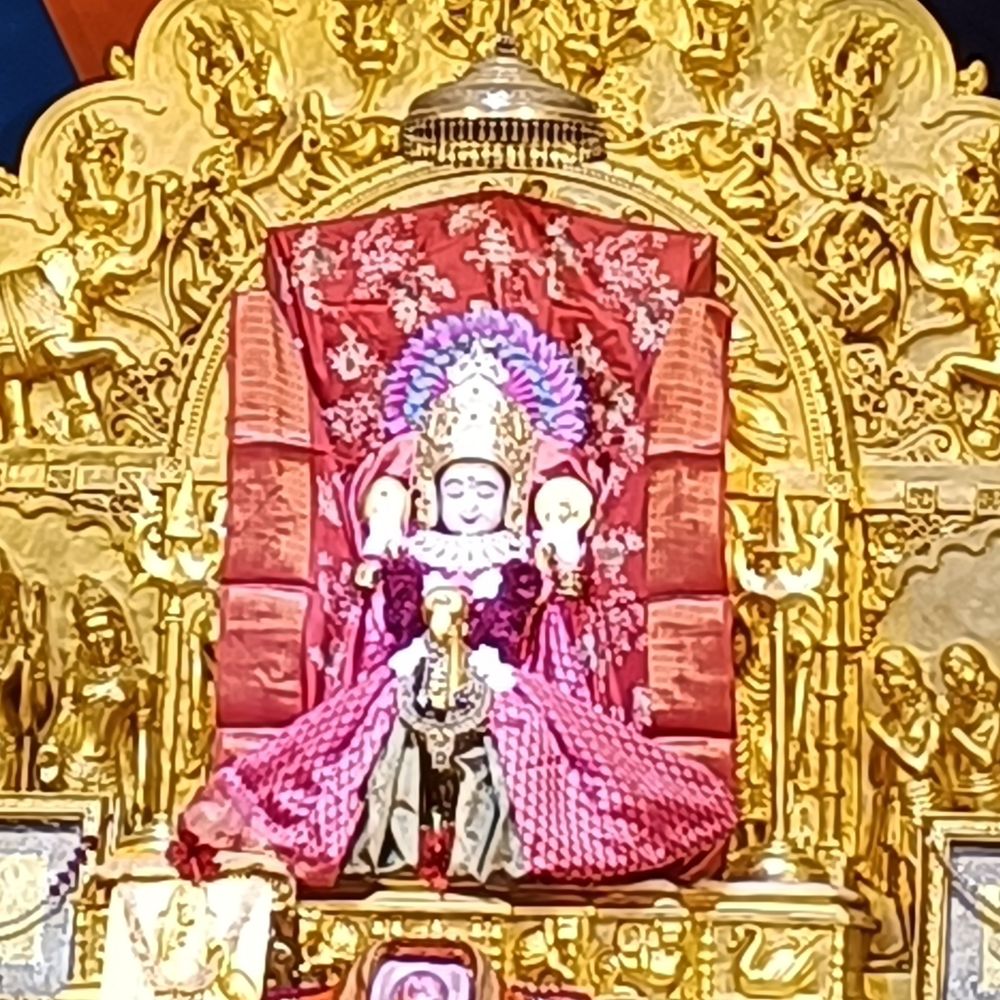 ઘી ચઢાવતી વખતે તસ્કરે હાથ સાફ કર્યો:રૂપાલની પલ્લીમાં ભીડનો લાભ ઉઠાવી મહિલાના ગળામાંથી 1.30 લાખના સોનાના દોરાની તફડંચી