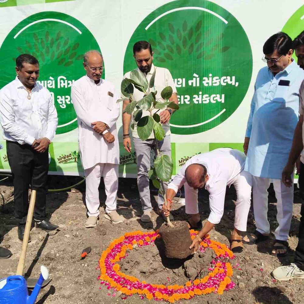 અમરેલીમાં ઠેબી ડેમ વિસ્તારમાં વૃક્ષારોપણ કાર્યક્રમ યોજાયો:ઇકો અર્થ ફાઉન્ડેશન દ્વારા પર્યાવરણ જતનનો સંદેશ અપાયો, મંત્રી કૌશિક વેકરીયા પણ જોડાયા