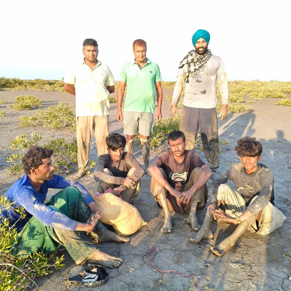 કચ્છના સર ક્રીકમાંથી 4 પાકિસ્તાની માછીમારો ઝડપાયા:BSFએ ભારતીય જળસીમામાંથી તેમની ફાઇબર બોટ જપ્ત કરી
