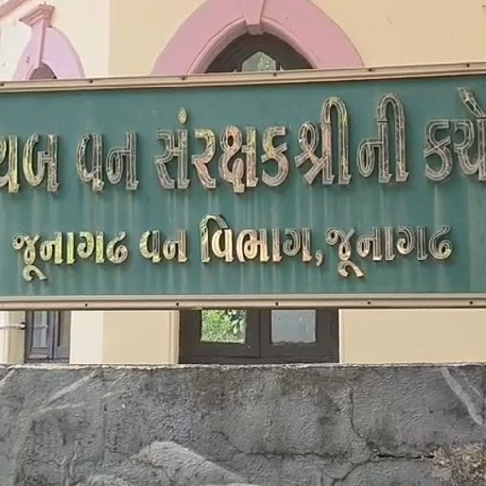 વનકર્મીઓ પડતર માંગણીઓને લઈ માસ સીએલ પર ઉતર્યા.:જુનાગઢ અને ગીર સોમનાથ ડિવિઝનના 500 થી વધુ વનકર્મીઓ પડતર માંગણીઓને લઈ માસ સીએલ પર ,આવતીકાલથી અચોક્કસ મુદતની હડતાલ પર જશે.