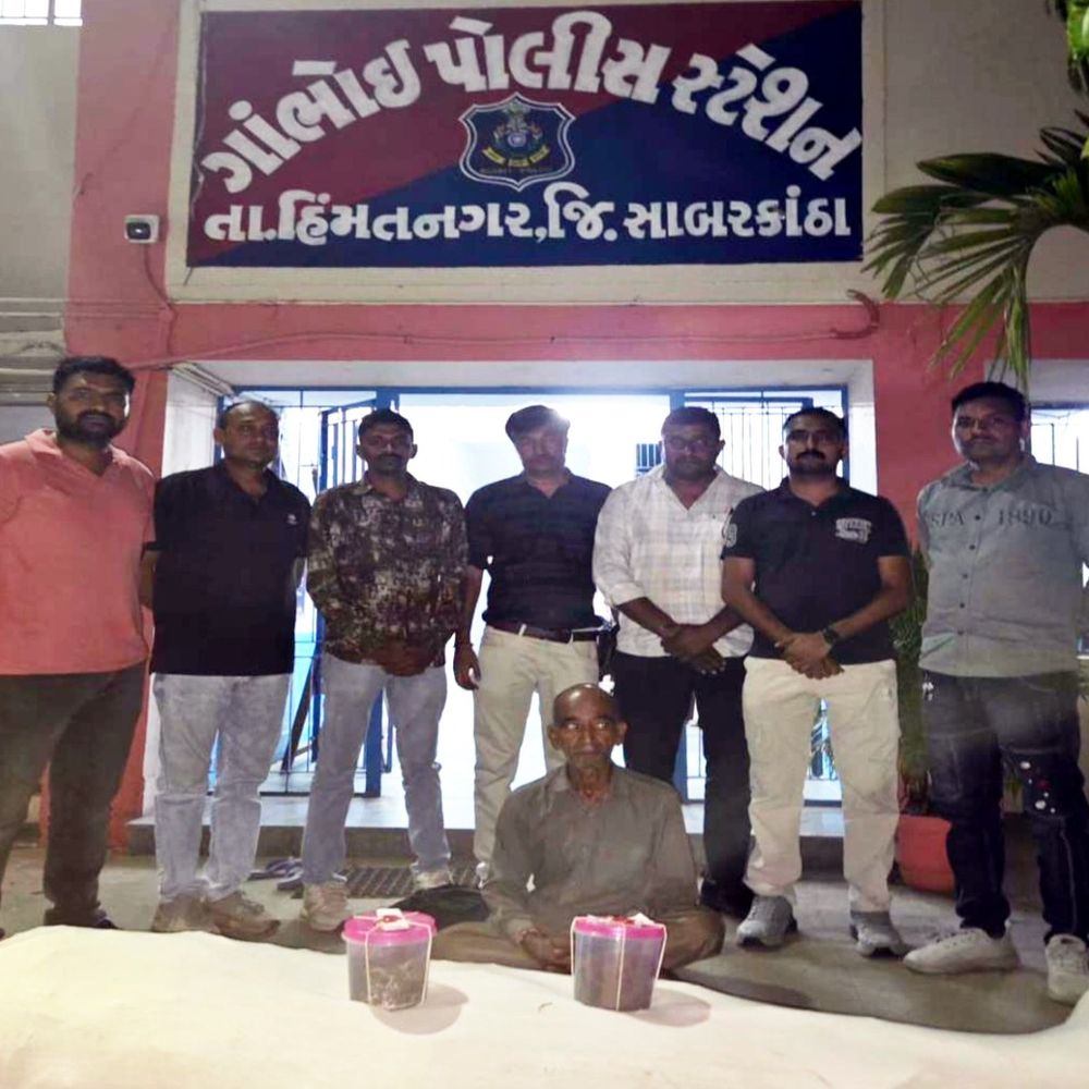 અડપોદરામાં ઘરની આસપાસ ગાંજાના 25 છોડ મળ્યા:પોલીસે 21.162 કિલો છોડ, રૂ. 10.58 લાખનો મુદ્દામાલ જપ્ત કર્યો; આરોપી સામે NDPS હેઠળ ગુનો નોંધાયો