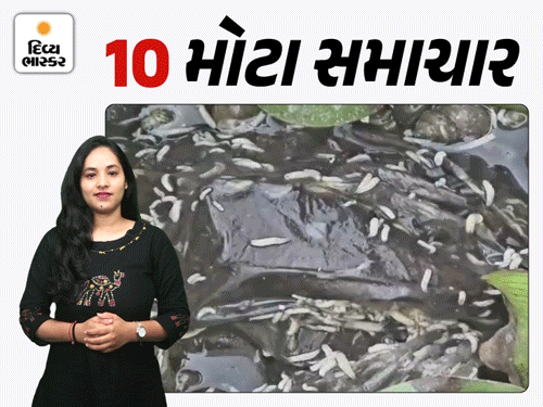 ખેડૂતો સાથે PM મોદી કરશે ખાટલા સભા:ભાજપ નેતાના પુત્રની 19 હજારથી વધુ દારુની બોટલ્સ ઝડપાઈ, સેન્સરના અવાજથી કંટાળી ગાડી સળગાવી દીધી, સુરતમાં કથળી પીવાના પાણીની ગુણવત્તા