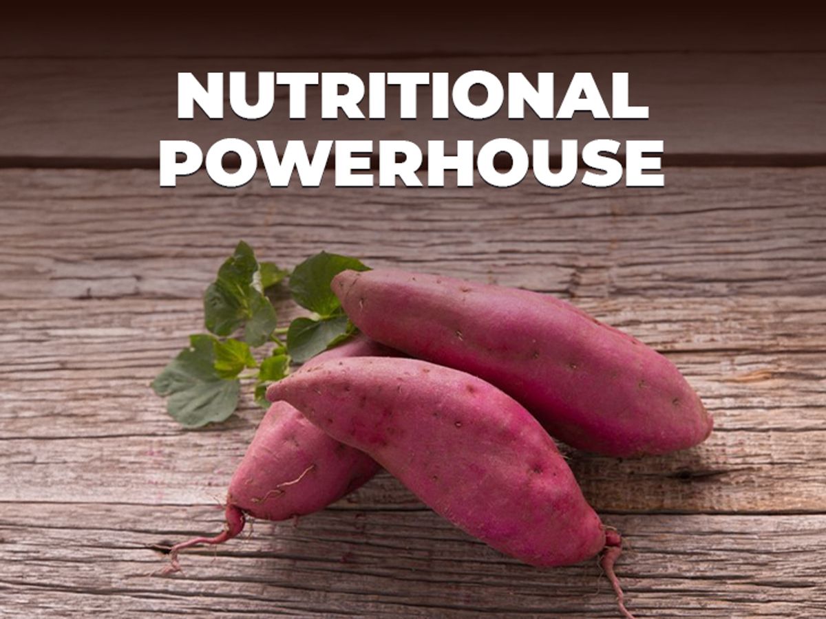 5 reasons why sweet potatoes strengthen your immune system and help shed  pounds | Bhaskar English