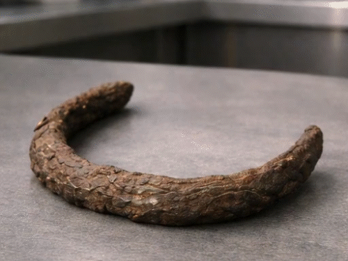 भारतात चेहरा प्रत्यारोपण सुरू होणार: महाराष्ट्रातील गाव झाले जातमुक्त | टॉप ५ रोचक कथा