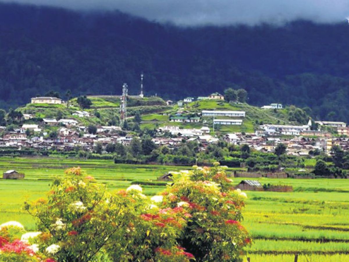 Zero Valley 