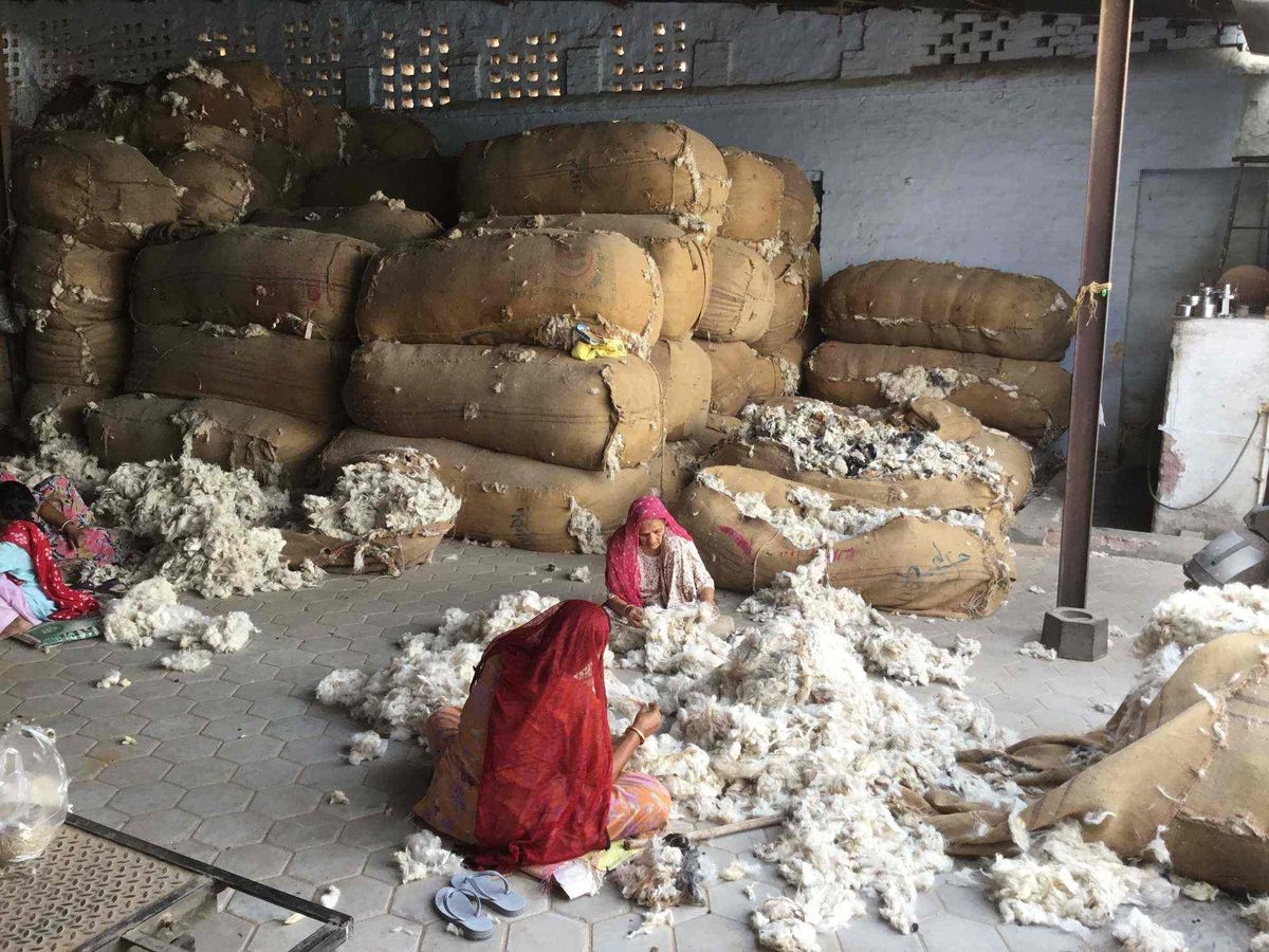Five hundred crore rupees of wool and rug business of Bikaner kills Corona,  laborers from other states started migrating | गलीचा व्यवसाय फिर संकट में:  बीकानेर का पांच सौ करोड़ रुपए का