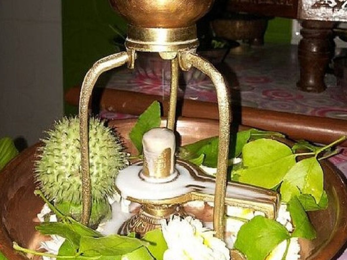 Meaning of Dhatura in Shiva Puja Offering poisonous Dhatura to Bholenath  means giving up the bitterness and poison of your mind. | शिव पूजा में धतूरे  के मायने: भोलेनाथ को जहरीला धतूरा