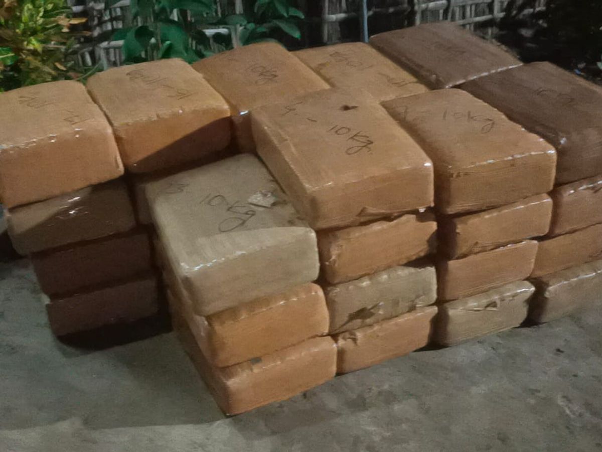 प्लाई से लदे ट्रक में छिपाकर असम से लाया जा रहा था गांजा, ड्राइवर और खलासी  अरेस्ट | 3 quintal ganja recovered from truck in Bhagalpur, Ganja was being  brought from Assam