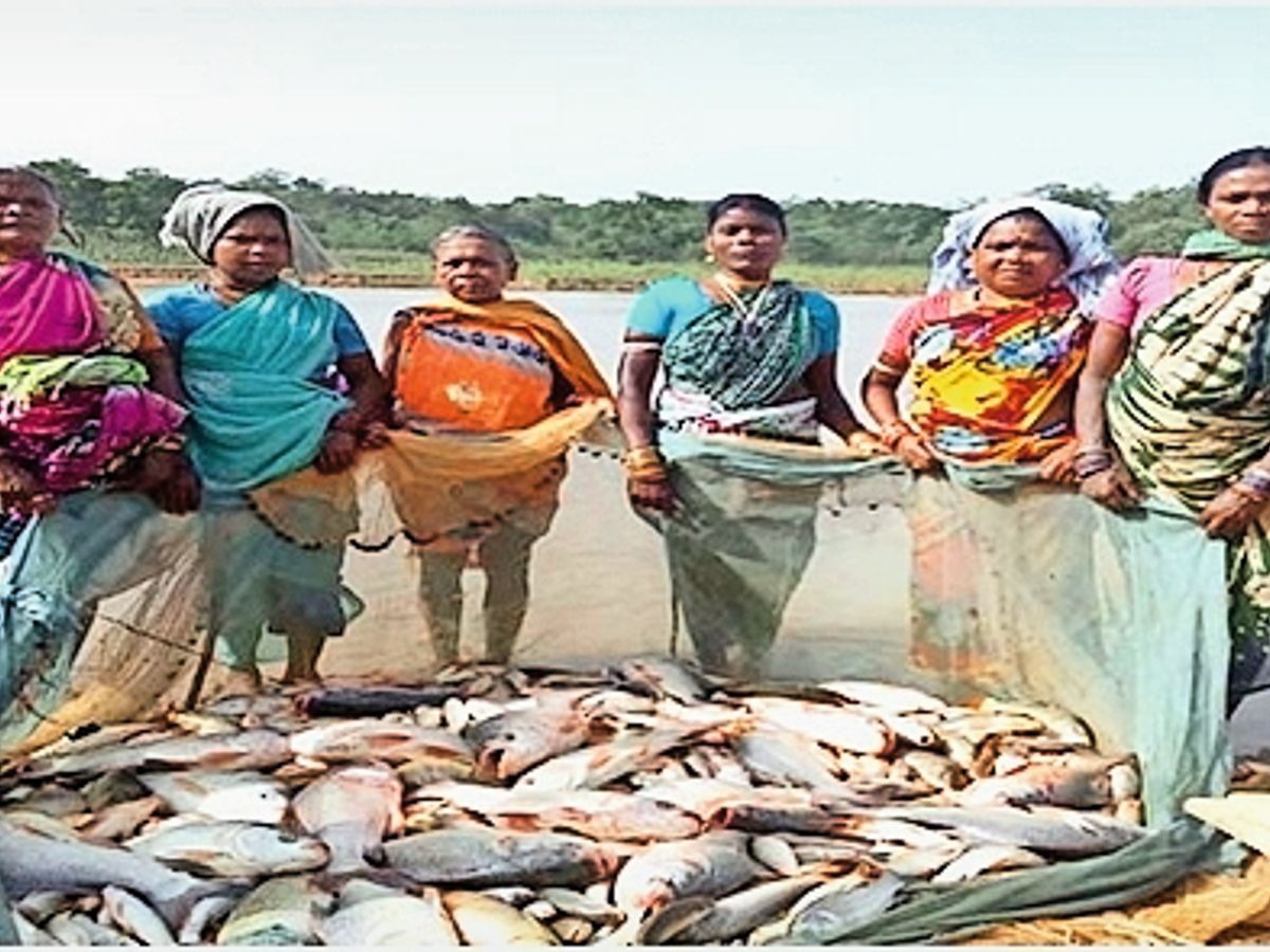 Women's group earns Rs 60 thousand from fish farming