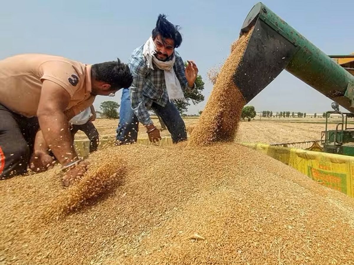 Rabi Crops MSP Hike Update | Narendra Modi Cabinet On Minimum Support Price  | गेहूं की MSP 150 रुपए बढ़कर 2,275 रुपए/ क्विंटल हुई: सरकार ने रबी की 6  फसलों के समर्थन
