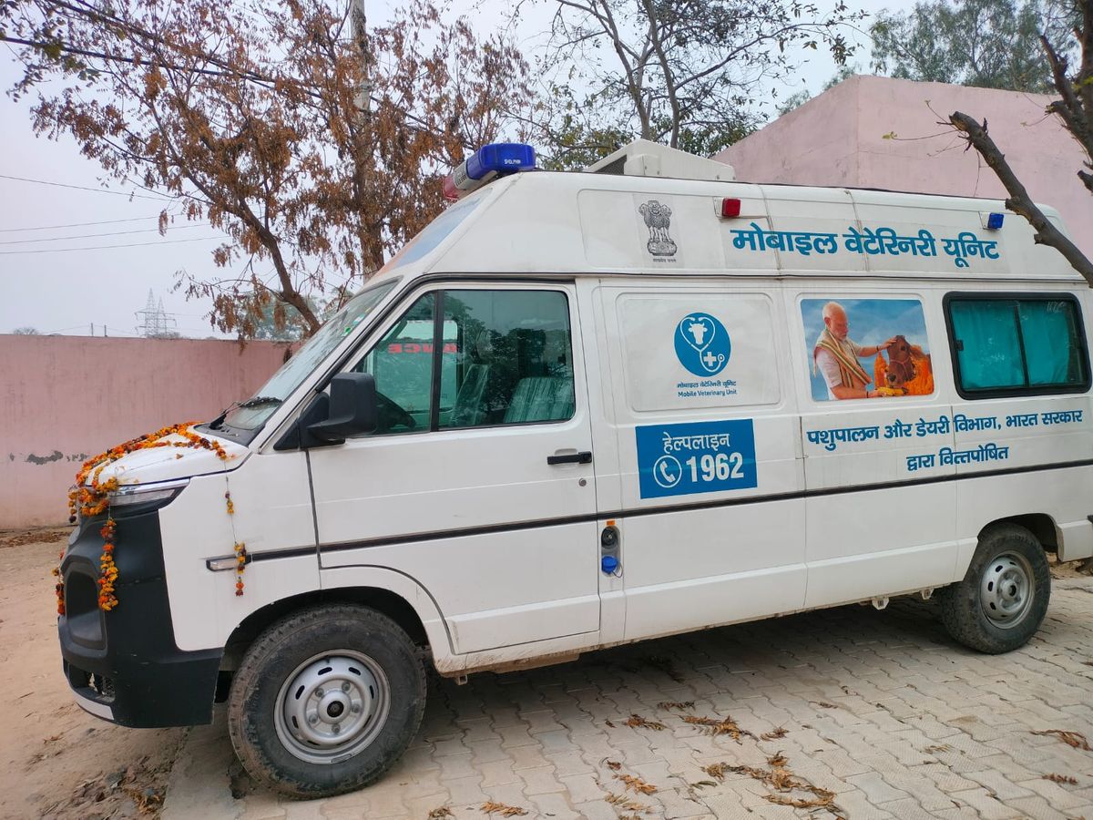 चिकित्सा और आपातकालीन सेवाएं