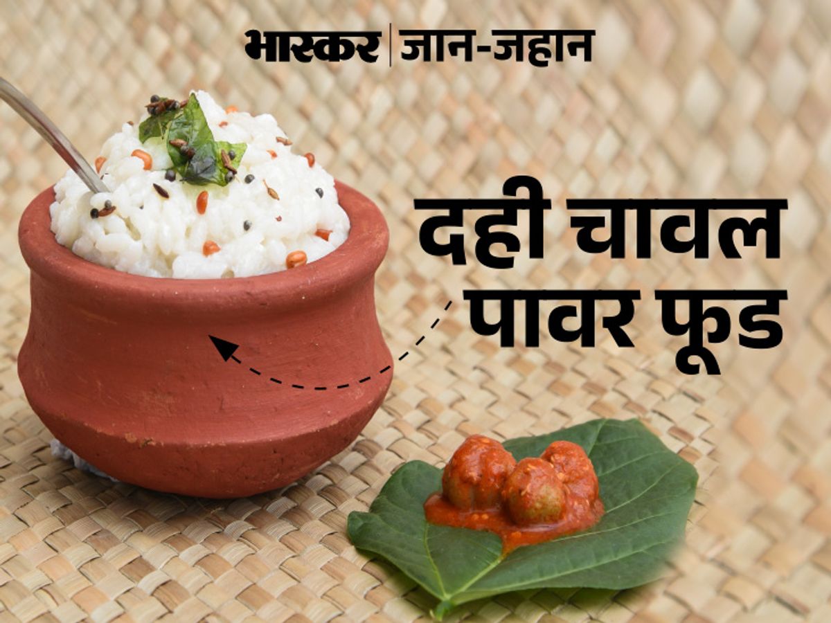 Dahi Wale Chawal - Curd Rice recipe | Sapphire1845.com