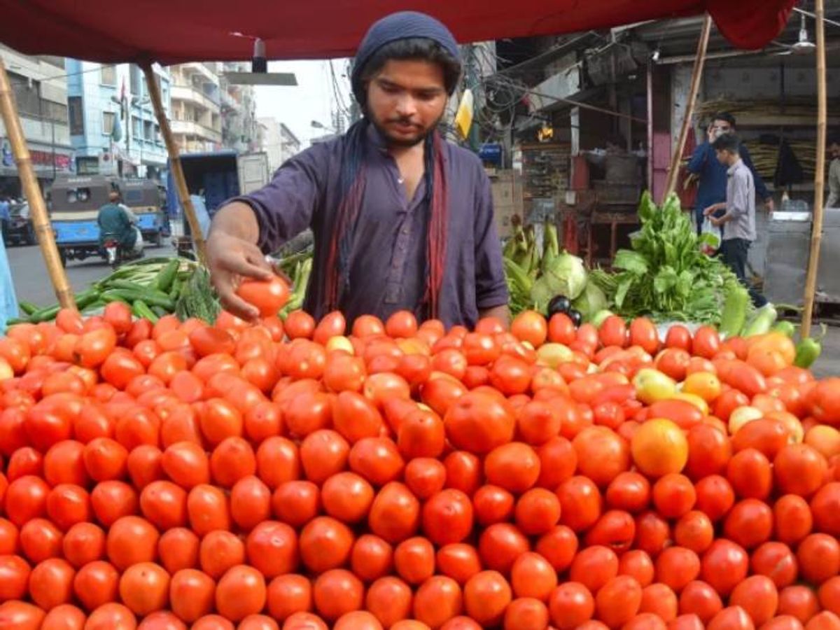 Pakistan Tomato Price Hike Crisis Reason; Afghanistan Border | Islamabad  Kabul | पाकिस्तान में टमाटर ₹600 किलो, दाम 400% बढ़े: अफगानिस्तान से विवाद  के चलते क्रॉसिंग बंद, 5000 कंटेनर ...