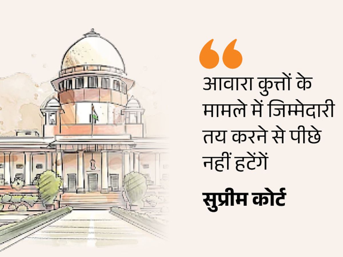 Supreme Court: Stray Dog Attacks | Dog Feeders Responsibility