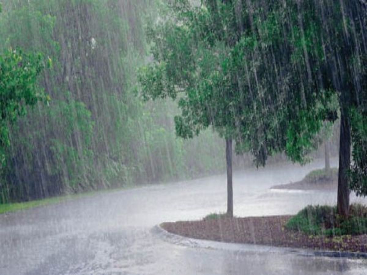 Monsoon is gradually becoming active across the state