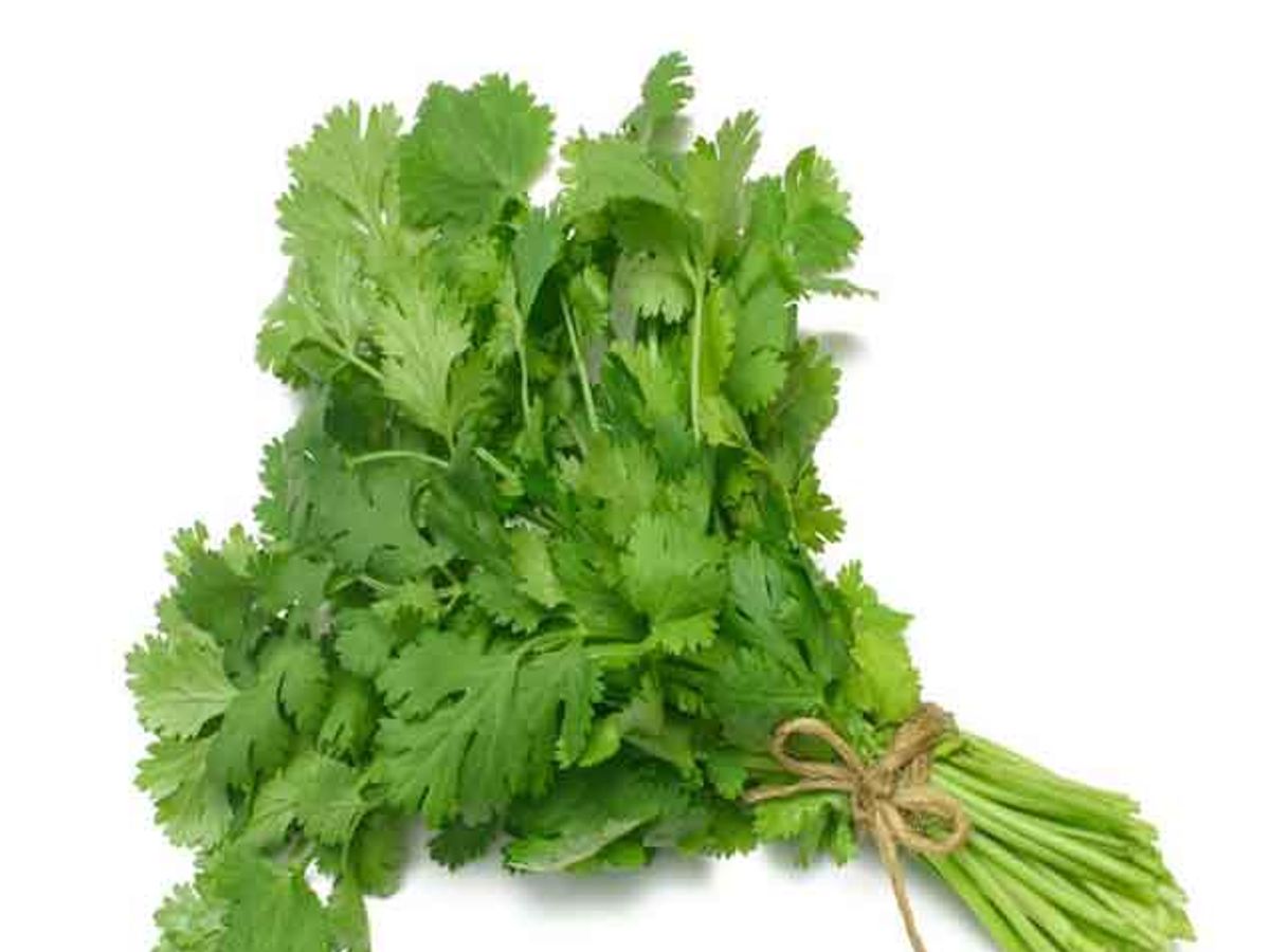 Soqilmagan mushukni sikish