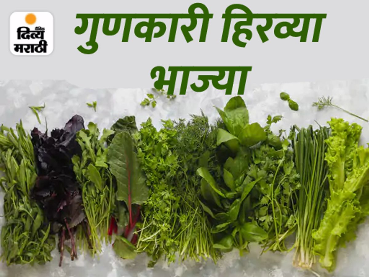 Green Leafy Vegetables Name In English And Marathi With, 40 OFF
