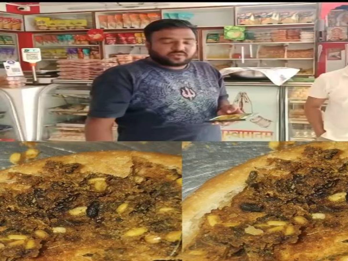 कचोरीत उंदराच्या लेंड्या! मुलांनी दोन कचोऱ्या खाल्ल्या अन् नंतर धक्कादायक प्रकार उघड; संभाजीनगरमध्ये संताप