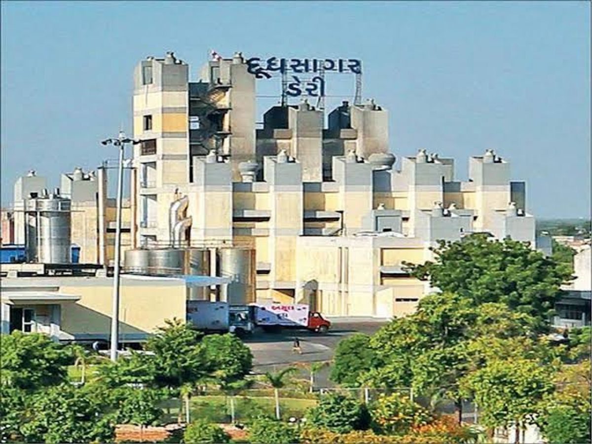 Dudhsagar Dairy has increased the purchase price of dairy farmers' milk by  Rs 10 per kilofeet | પશુપાલકોને મોટી ભેટ: દૂધસાગર ડેરીએ પશુપાલકોના દૂધના  ખરીદી ભાવમાં પ્રતિ કિલોફેટે 10 ...