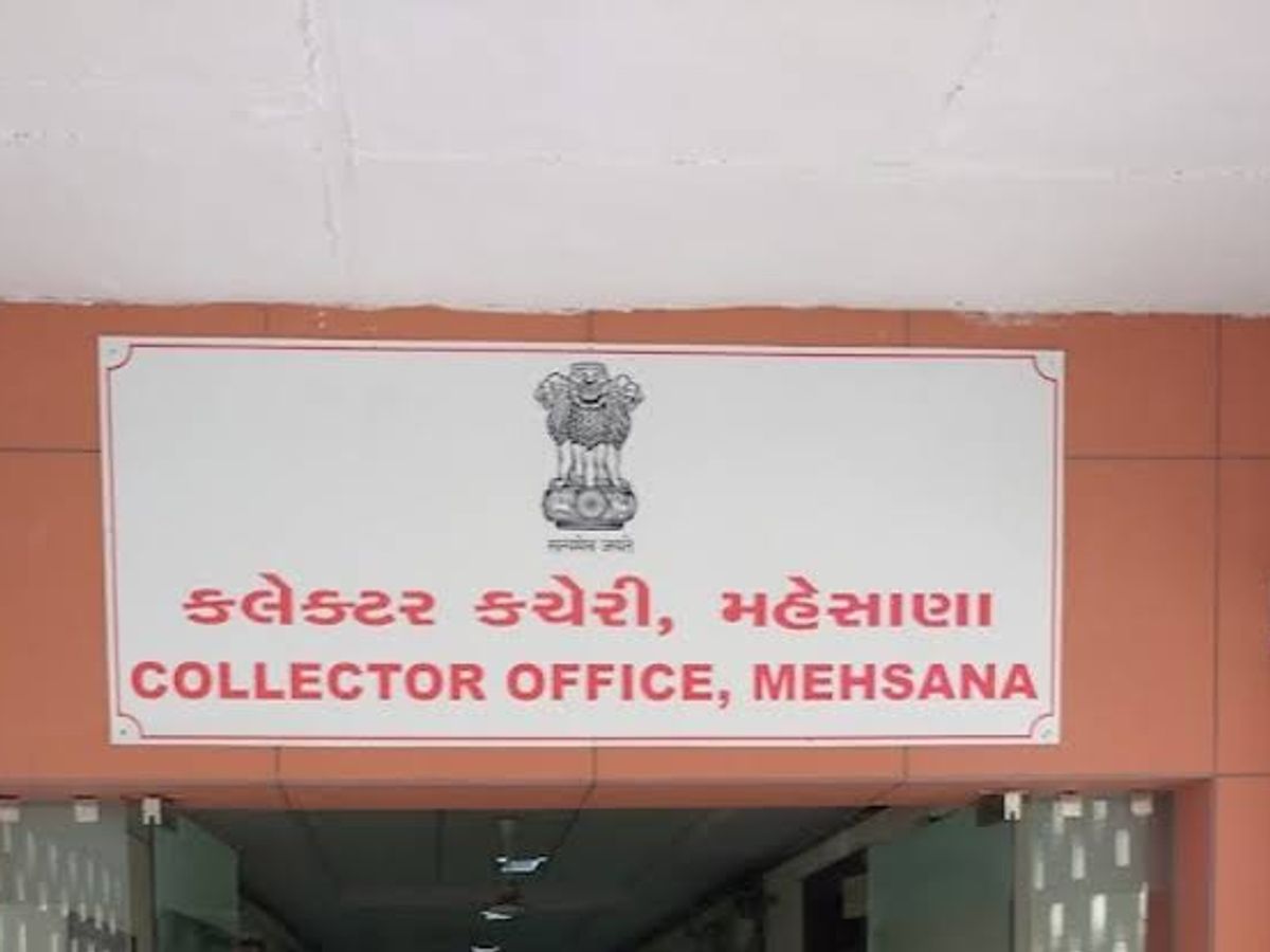 291 user IDs of the collector's office have been activated for the  e-government application in Mehsana district.