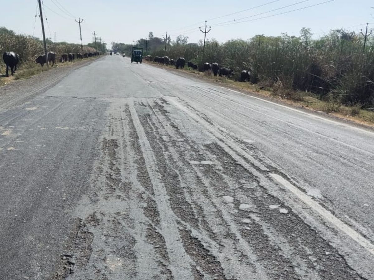 Instead of repairing the Matar-Tarapur road, there is a lot of trouble for  the motorists due to the bumpy road, and the possibility of causing an  accident. | હાઈવેનું તત્કાલ સમારકામ કરવા