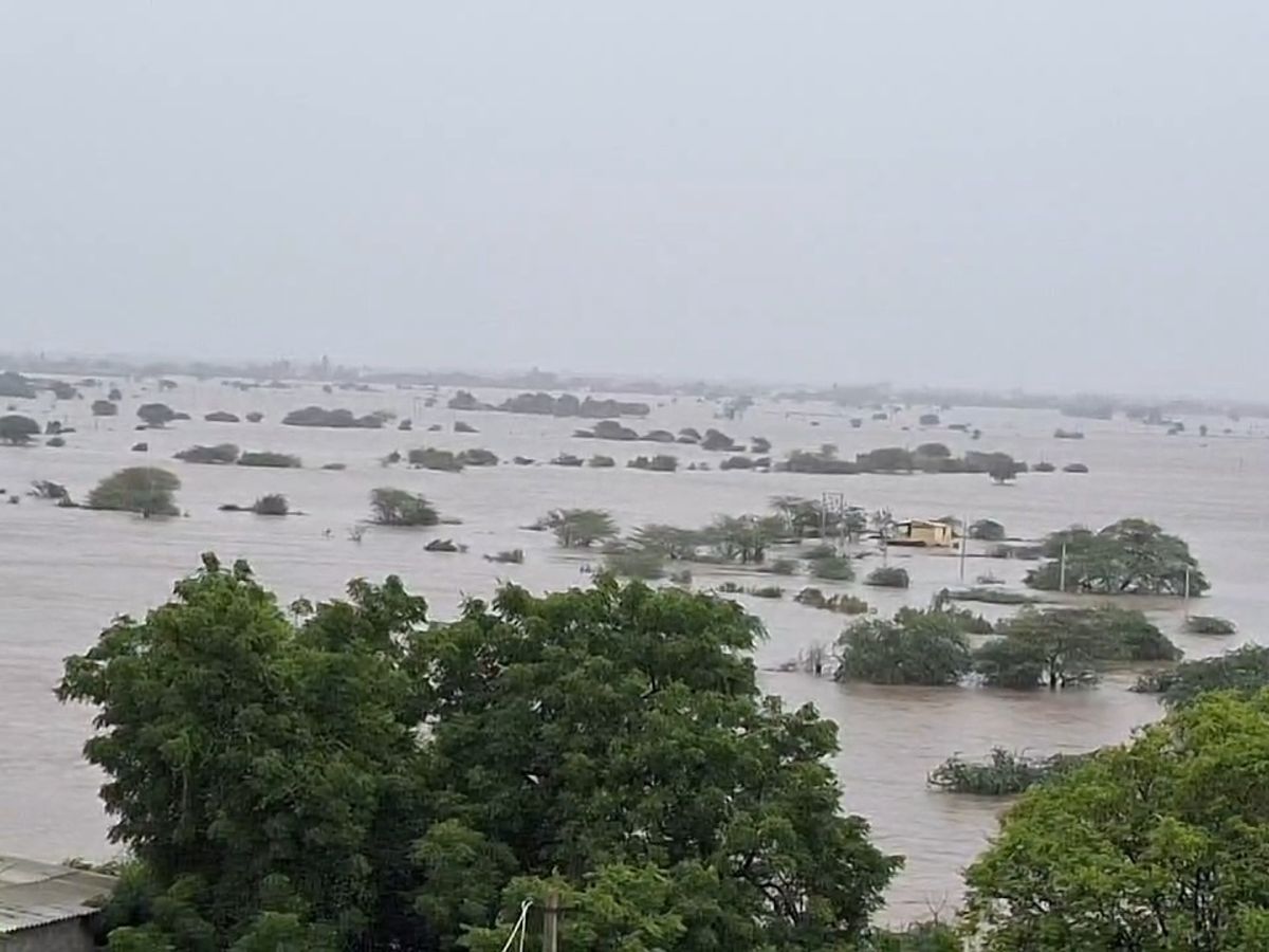 Efforts started to solve the problem of Ghed area | ઘેડ વિસ્તારની સમસ્યાના  ઉકેલ માટે પ્રયાસો શરૂ: વરસાદના કારણે દર વર્ષે સર્જાતી જળબંબાકારની સમસ્યાના  નિરાકરણ ...