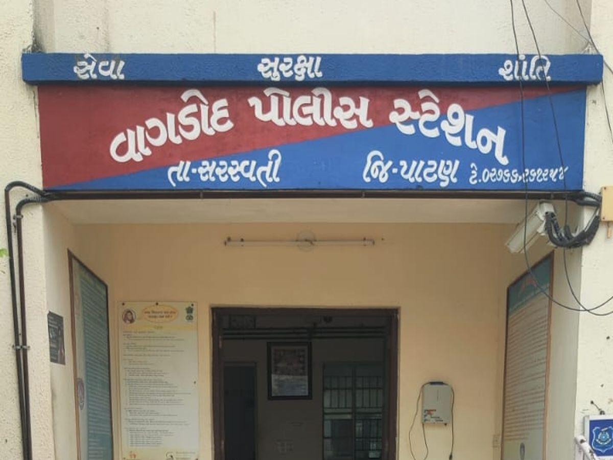 Two people were caught with a truck loaded with 35 cattle near Vagdod,  Saraswati, police took action | પશુઓનો જીવ બચાવાયો: સરસ્વતિનાં વાગડોદ પાસે  35 પશુ ભરેલી ટ્રક સાથે બે શખ્સ ઝડપાયા,