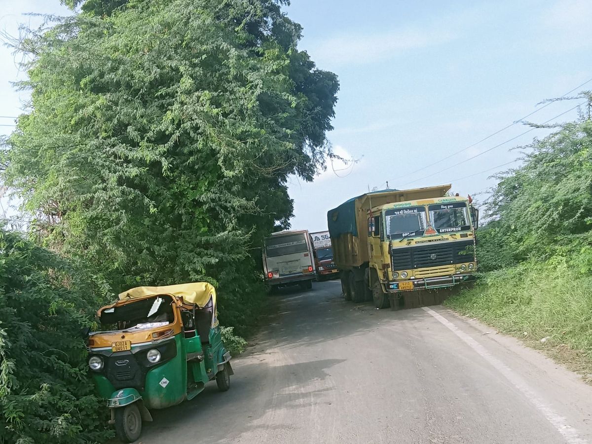 Three injured as turbo and rickshaw swerve due to a group of abacuses on  Adivada-Khambhel road | અકસ્માતનું જોખમ વધી ગયું: આદિવાડા-ખાંભેલ રોડ પર  બાવળોના ઝુંડના કારણે ટર્બો અને ...