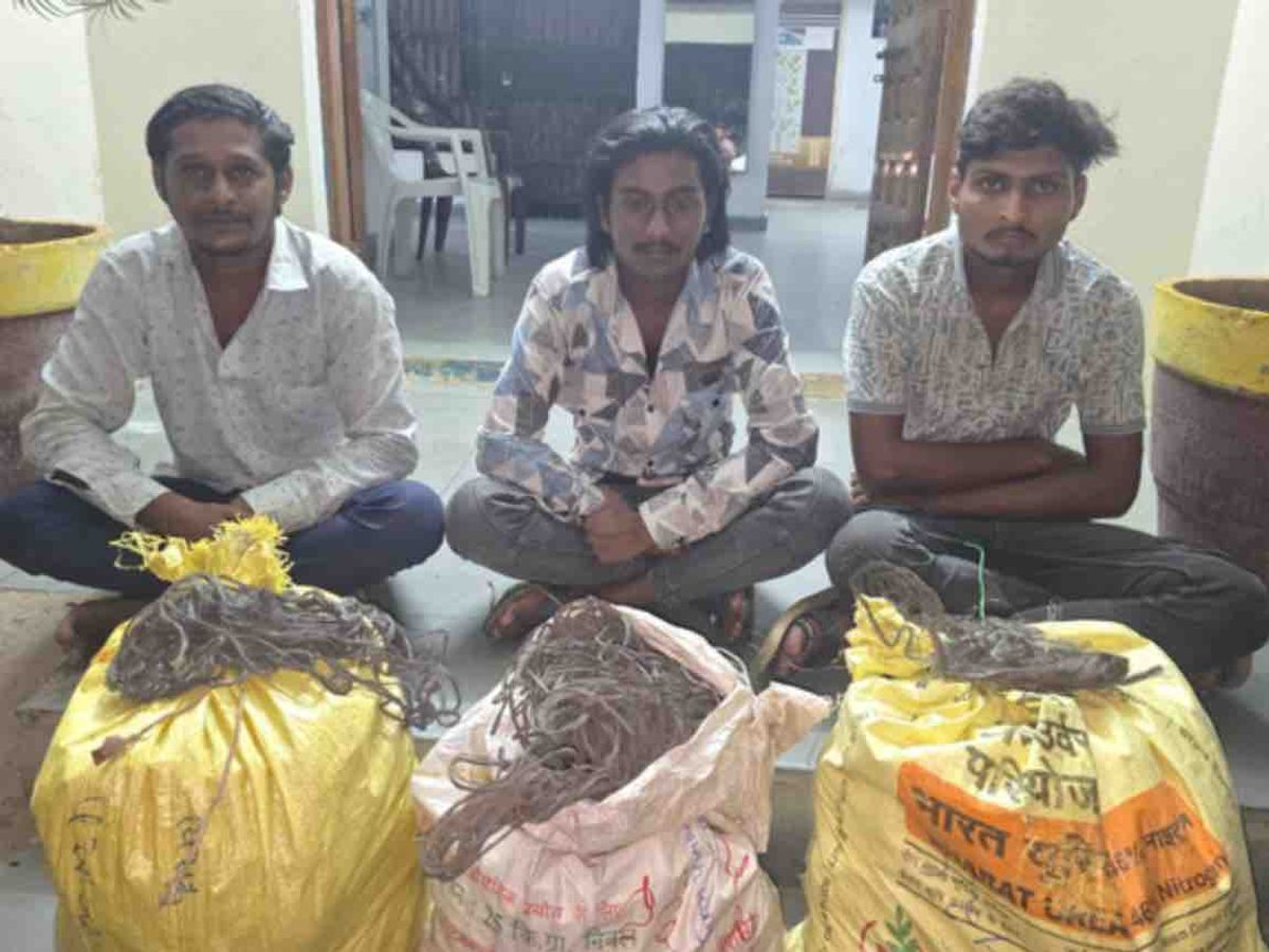 3 cases of cable wire theft from solar plant solved | સોલાર પ્લાન્ટમાંથી  કેબલ વાયર ચોરીના 3 ગુનાનો ભેદ ઉકેલાયો: પાટણ LCB એ ₹ 87,550ના મુદ્દામાલ સાથે  3 આરોપીઓને ઝડપ્યા ...