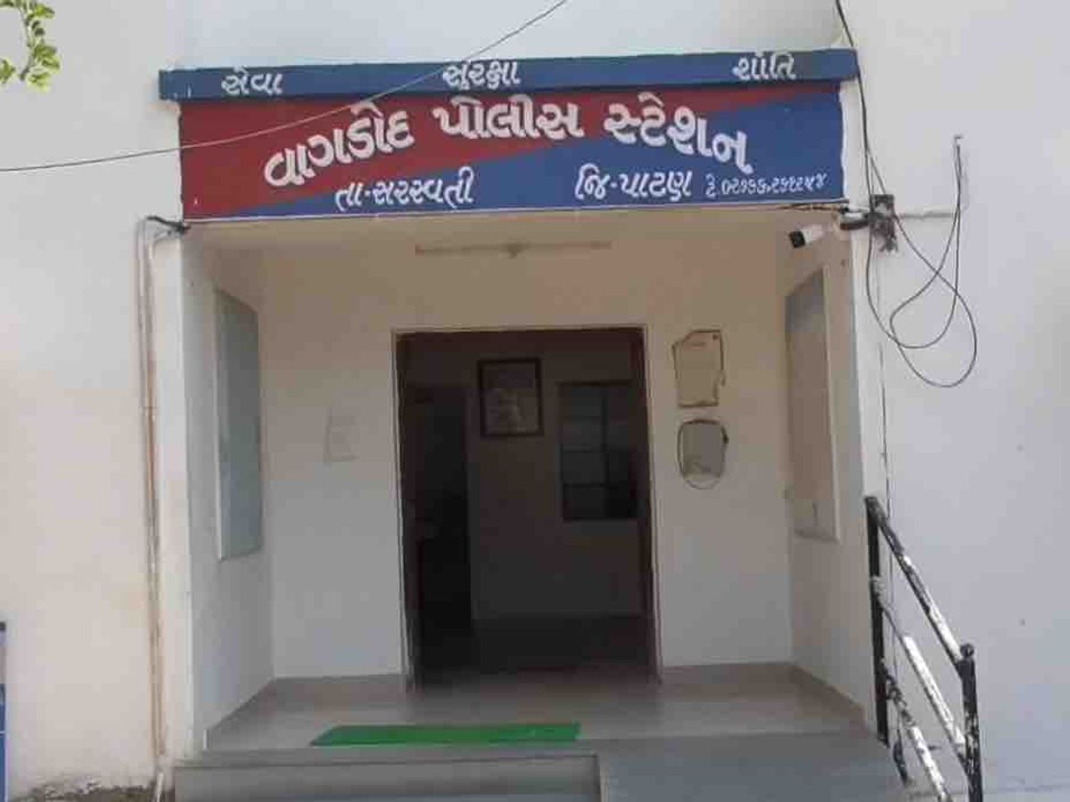 28 animals rescued from Wagdod | વાગડોદ પાસેથી 28 પશુઓનો બચાવ: પોલીસે  કતલખાને લઈ જવાતા પશુઓને બચાવી એક આરોપીની ધરપકડ કરી - Patan News | Divya  Bhaskar