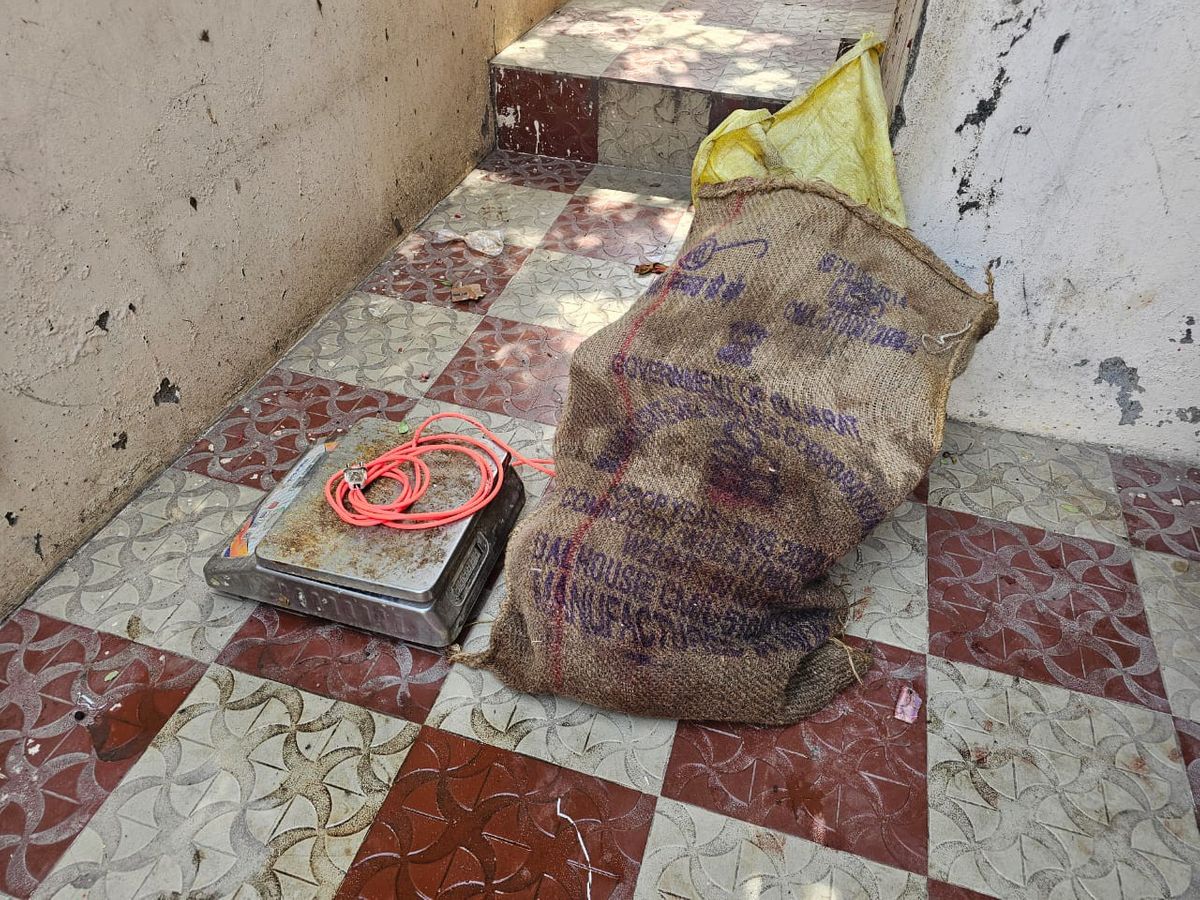 25 kg of beef seized in Kadi, one arrested | કડીમાં 25 કિલો ગૌમાસ ઝડપાયું, એકની  ધરપકડ: અમનપાર્ક સોસાયટીના મકાનમાં પોલીસની રેડ - Kadi News | Divya Bhaskar
