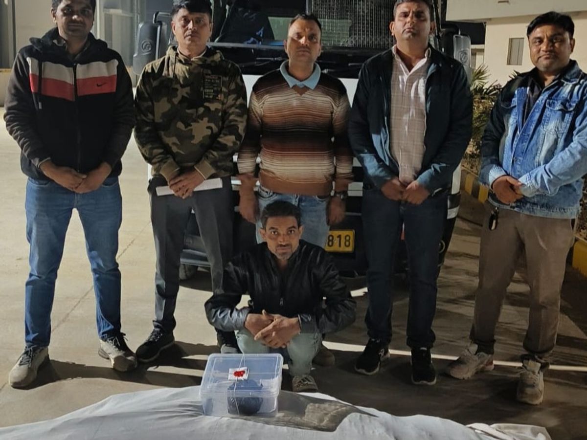 Rajasthani man arrested with marijuana plants from Visnagar | વિસનગરમાંથી  ગાંજાના છોડ સાથે રાજસ્થાની શખ્સ ઝડપાયો: રહેણાંક ઓરડીની સામે બિનઅધિકૃત રીતે  ગાંજાના છોડનું ...