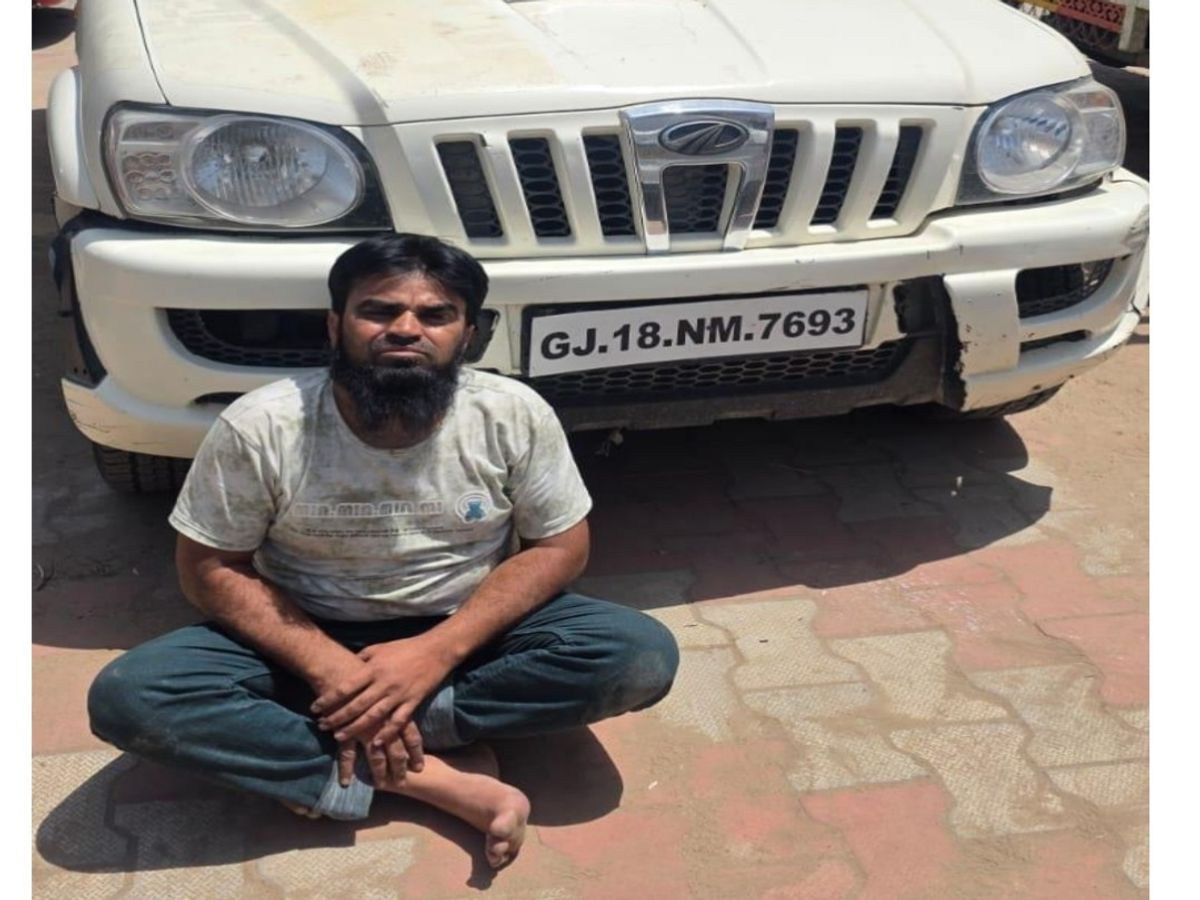 Kadi Cow Calf Theft: Police Chase Leads to Arrest, Two Flee