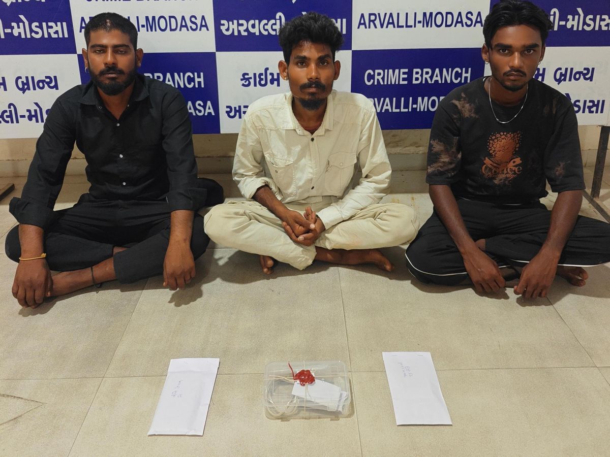 Aravalli LCB Nabs 3 Madari Gang Members Cheating Under Vidhi