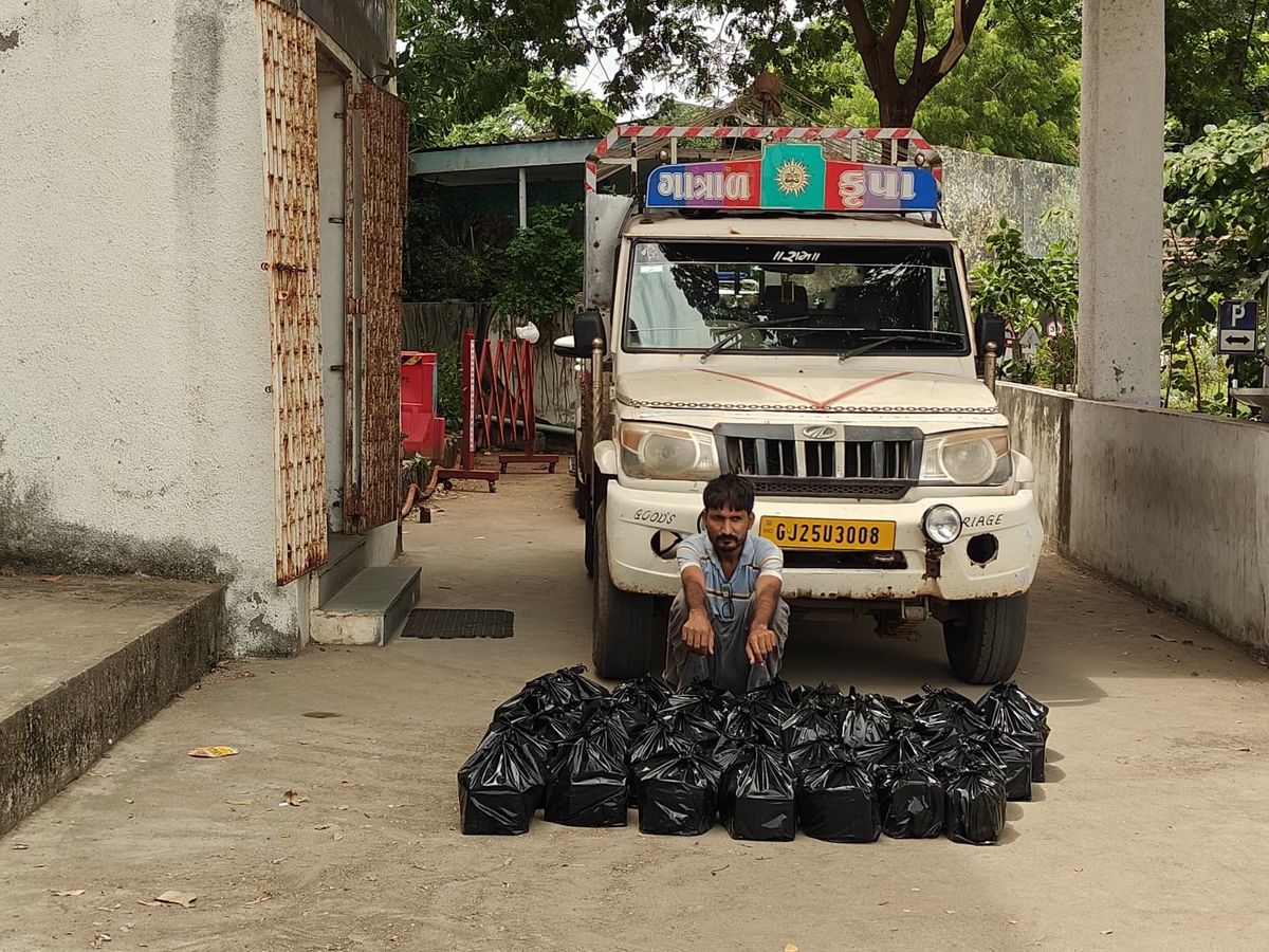 Vadodara LCB Raid: Ganja and Foreign Liquor Seized | Crime News