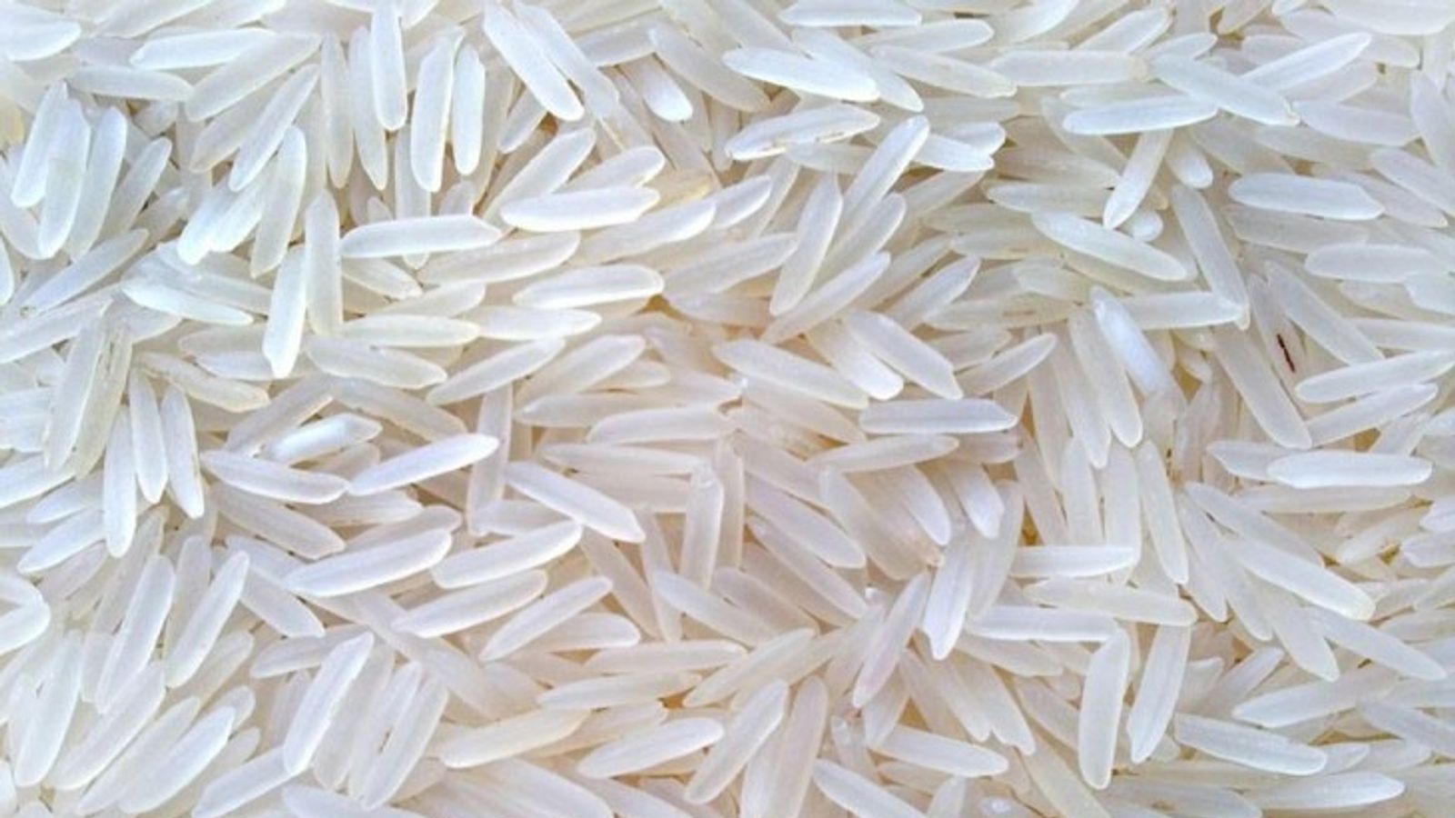 Non-Basmati Rice Export Ban