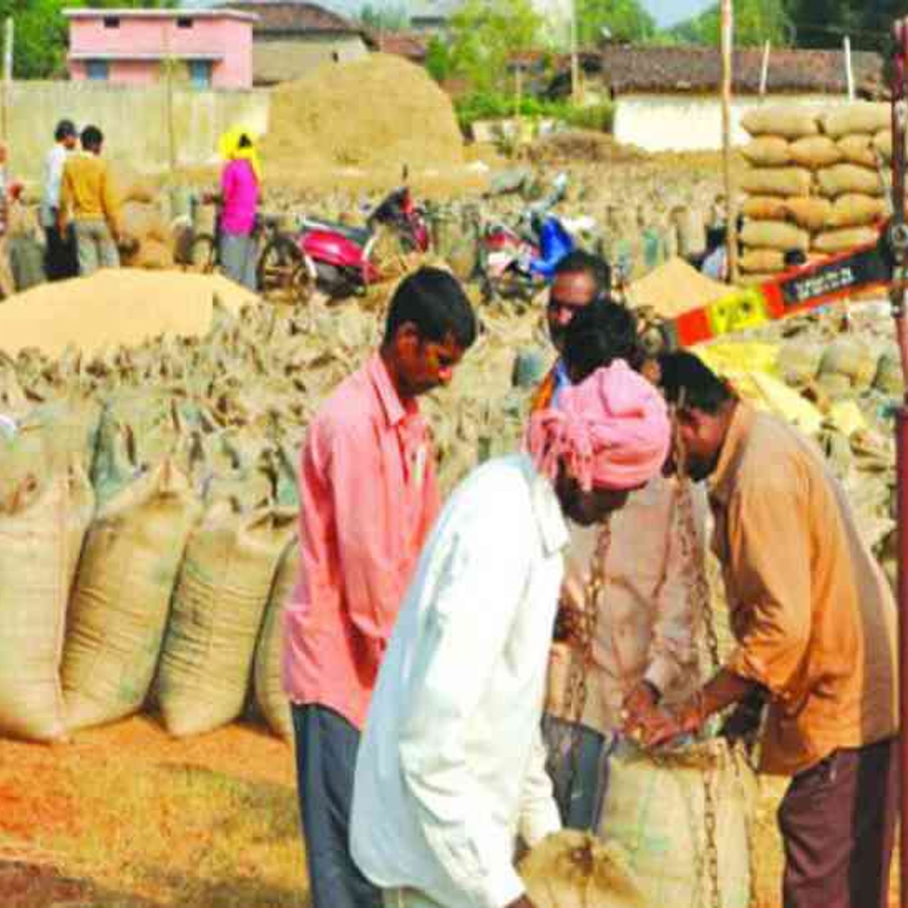 MPEUPARJAN: समर्थन मूल्य पर धान खरीदी 28 नवंबर से, कोई भी समस्या हो तो किसान भाई इस नंबर पर करें संपर्क, कंट्रोल रूम बना