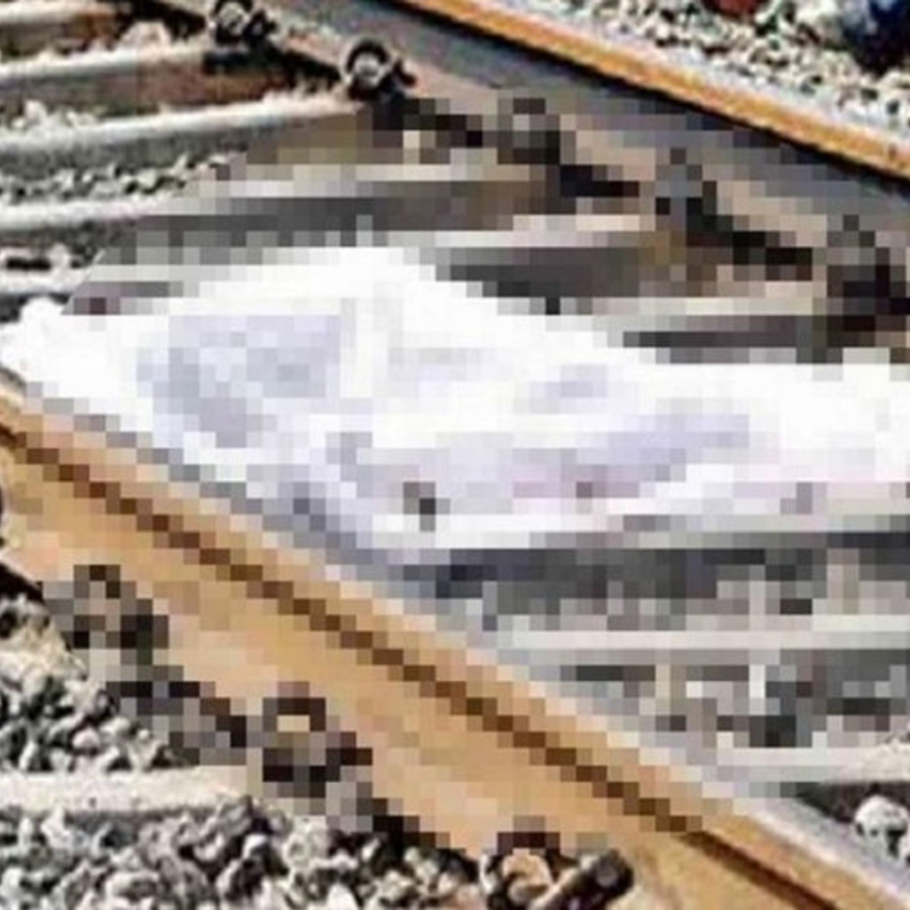 नौबतपुर में कार-बाइक की टक्कर में एक युवक की मौत; छपरा में भी ट्रेन से कटकर  मरा युवक, हादसा-सुसाइड में फंसा मामला | Bihar Siwan Man Found Dead In  Chhapra; Railway Police Says Youth Commits Suicide By Jumping In Front Of  Train - Dainik Bhaskar