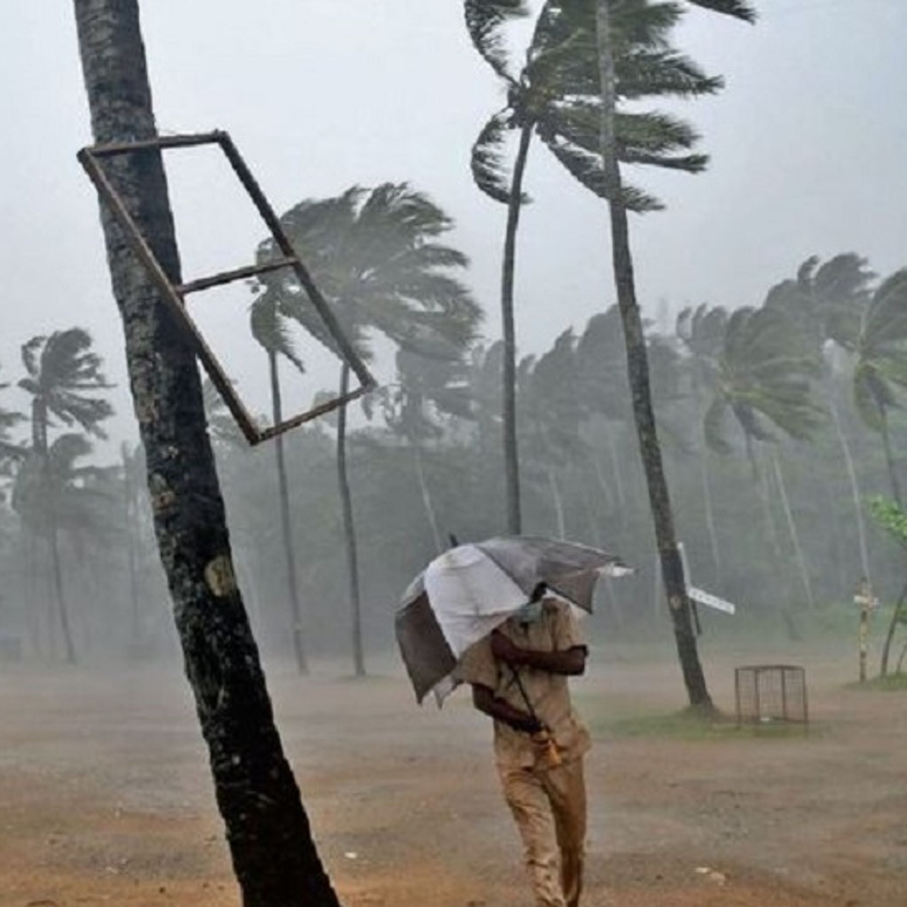 Bihar Weather Update; Tau Te will cause medium rain and thunderstrome in  eastern and middle parts of state | आने वाले दो दिनों में बदलेगा मौसम,  पूर्वी जिलों में तेज हवा और