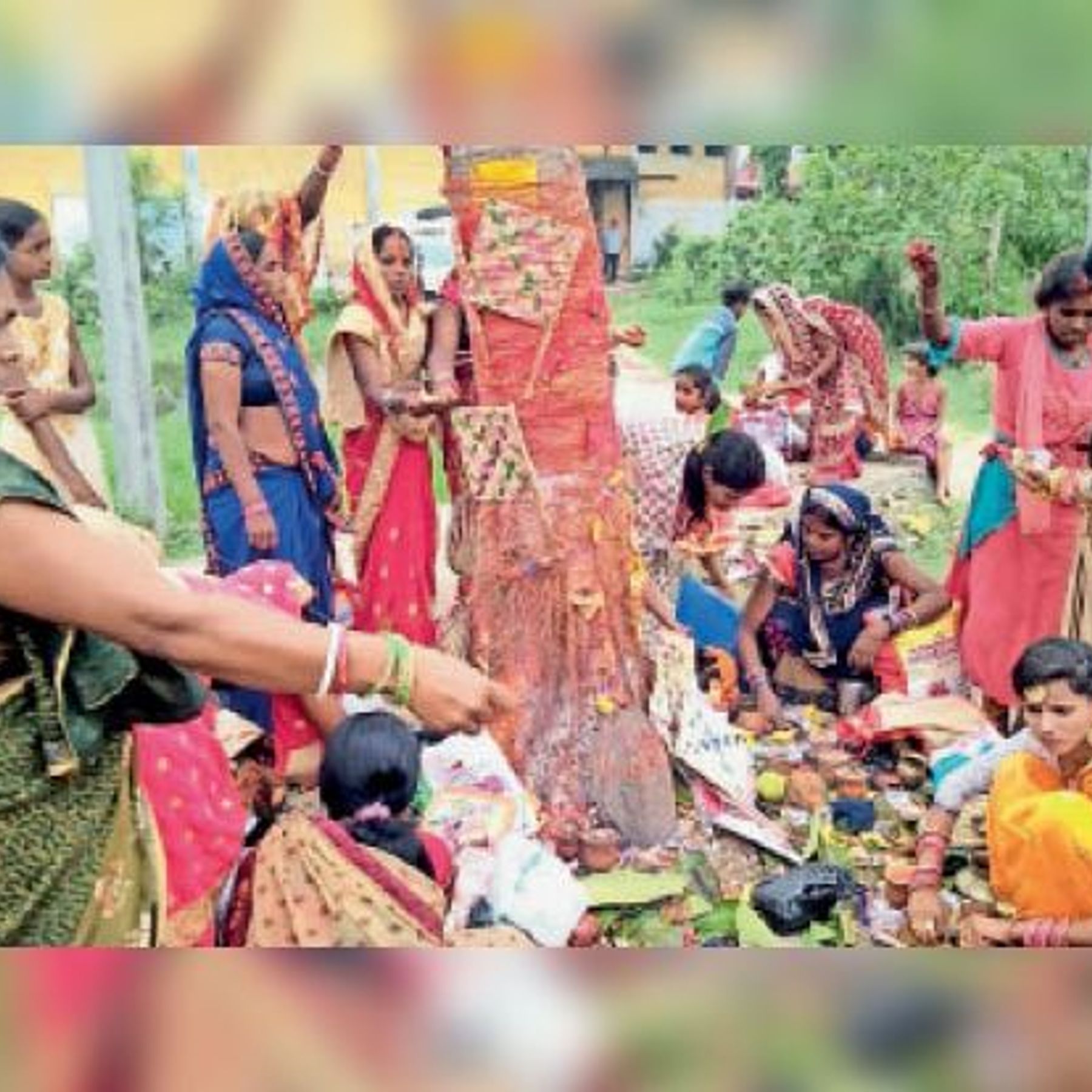 Vat Tree Worshiped For Long Life Of Husband पत क ल ब आय क ल ए वट व क ष प ज क गय Dainik Bhaskar