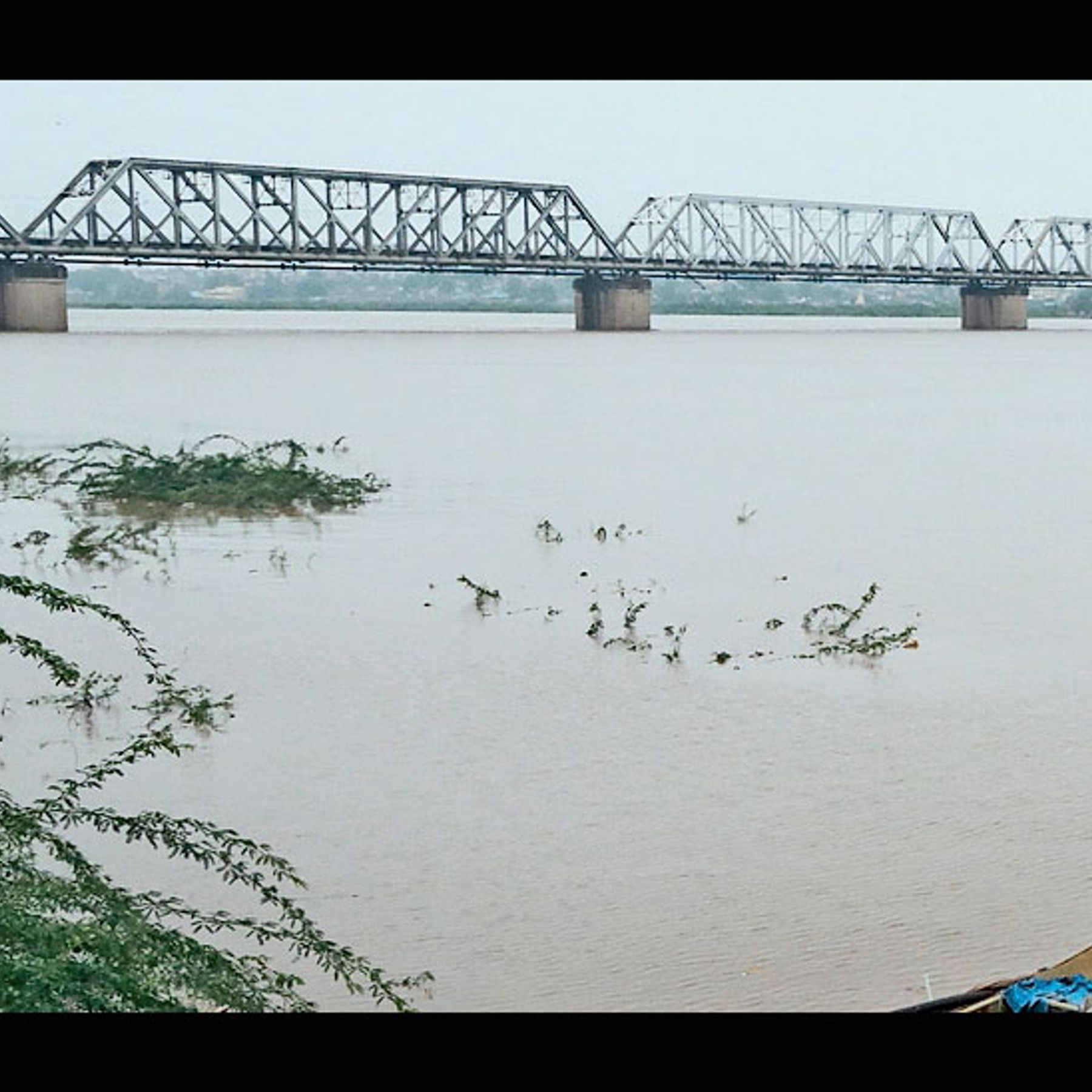 ભરૂચના ગોલ્ડન બ્રિજ ખાતે નદીની સપાટી 12 કલાકમાં 12.8 ફૂટ વધી | The river level at the Golden Bridge in Bharuch rose 12.8 feet in 12 hours - Divya Bhaskar