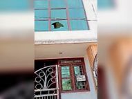 बानसूर में उधारी की रकम मांगी तो मकान पर फायरिंग, मामला दर्ज नहीं|अलवर,Alwar - Dainik Bhaskar