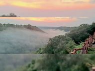 जिले में 8.37 प्रतिशत वन क्षेत्र बढ़ा, अब 795 वर्ग किलोमीटर जंगल|भीलवाड़ा,Bhilwara - Dainik Bhaskar