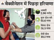 माल्टा की फार्मा कंपनी स्पुतनिक V के 6 करोड़ डोज देने को तैयार, एक डोज की कीमत 1,120 रुपए होगी|देश,National - Dainik Bhaskar