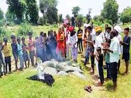 गर्मी ने बढ़ाई ग्रामीणों की चिंता, इंद्रदेव को मनाने के लिए उदयपुर के गांवों में शुरू हुई पूजा, ढोल-नगाड़े के साथ मनाने निकले|उदयपुर,Udaipur - Dainik Bhaskar